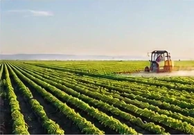 Farm
